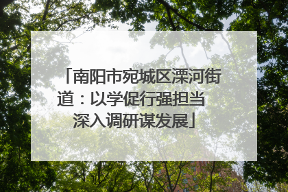 南阳市宛城区溧河街道：以学促行强担当 深入调研谋发展