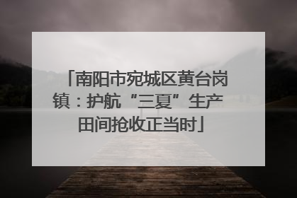 南阳市宛城区黄台岗镇：护航“三夏”生产 田间抢收正当时