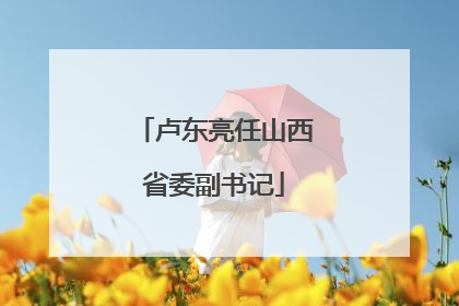 卢东亮任山西省委副书记