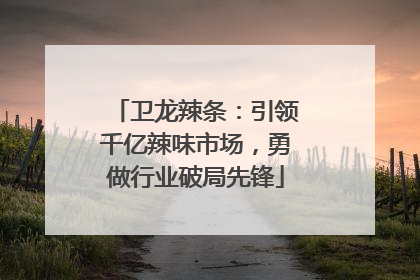 卫龙辣条：引领千亿辣味市场，勇做行业破局先锋