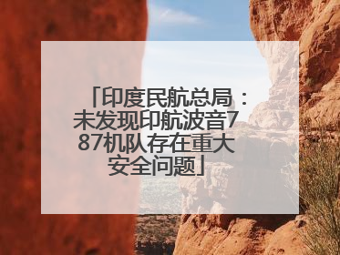 印度民航总局：未发现印航波音787机队存在重大安全问题
