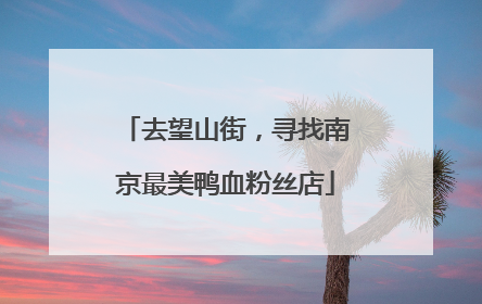 去望山街，寻找南京最美鸭血粉丝店