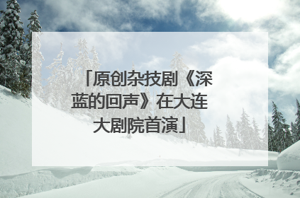 原创杂技剧《深蓝的回声》在大连大剧院首演
