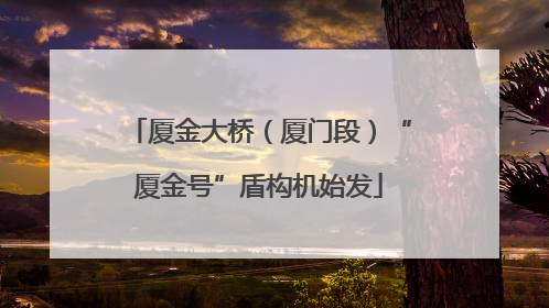 厦金大桥（厦门段）“厦金号”盾构机始发