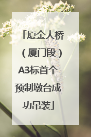 厦金大桥（厦门段）A3标首个预制墩台成功吊装
