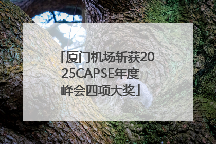 厦门机场斩获2025CAPSE年度峰会四项大奖