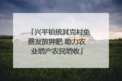 兴平镇统其克村免费发放钾肥 助力农业增产农民增收