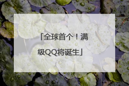 全球首个！满级QQ将诞生