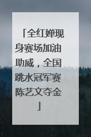 全红婵现身赛场加油助威，全国跳水冠军赛陈艺文夺金