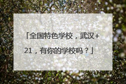 全国特色学校，武汉+21，有你的学校吗？