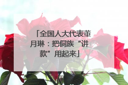 全国人大代表董月琳：把侗族“讲款”用起来
