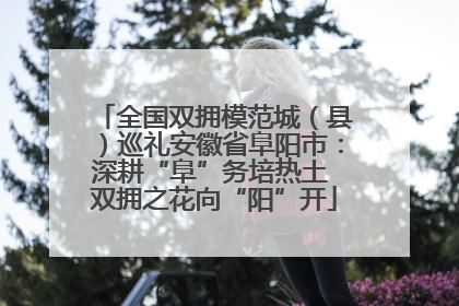 全国双拥模范城（县）巡礼安徽省阜阳市：深耕“阜”务培热土 双拥之花向“阳”开
