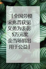 全国劳模宋兆普获见义勇为表彰 5万元奖金当场捐出用于公益