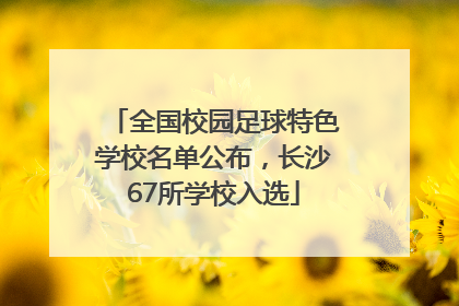 全国校园足球特色学校名单公布，长沙67所学校入选