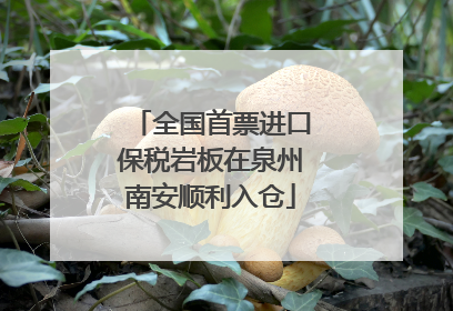 全国首票进口保税岩板在泉州南安顺利入仓