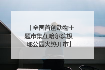 全国首创动物主题市集在哈尔滨极地公园火热开市