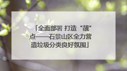 全面部署 打造“靓” 点——石景山区全力营造垃圾分类良好氛围