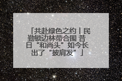 共赴绿色之约丨民勤锁边林带合围 昔日“和尚头”如今长出了“披肩发”