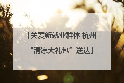 关爱新就业群体 杭州“清凉大礼包”送达