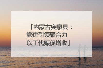 内蒙古突泉县：党建引领聚合力 以工代赈促增收