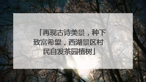 再现古诗美景，种下致富希望，西湖景区村民自发茶园植树