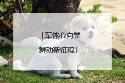 军休心向党 舞动新征程