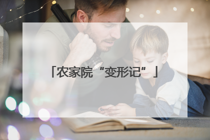 农家院“变形记”