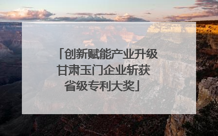 创新赋能产业升级 甘肃玉门企业斩获省级专利大奖