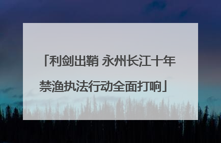 利剑出鞘 永州长江十年禁渔执法行动全面打响