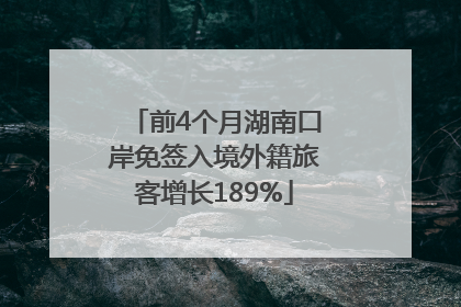 前4个月湖南口岸免签入境外籍旅客增长189%