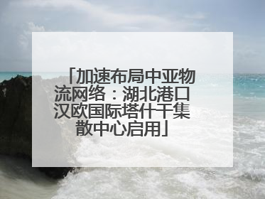 加速布局中亚物流网络：湖北港口汉欧国际塔什干集散中心启用