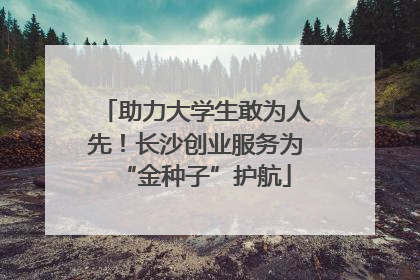 助力大学生敢为人先！长沙创业服务为“金种子”护航