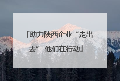 助力陕西企业“走出去” 他们在行动