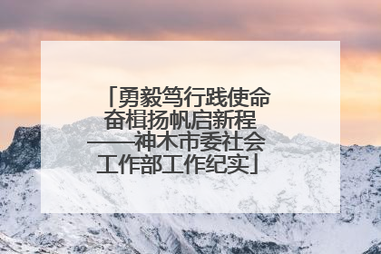 勇毅笃行践使命 奋楫扬帆启新程——神木市委社会工作部工作纪实