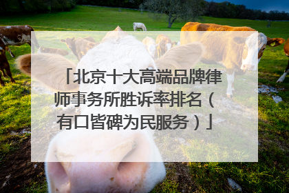 北京十大高端品牌律师事务所胜诉率排名(有口皆碑为民服务)