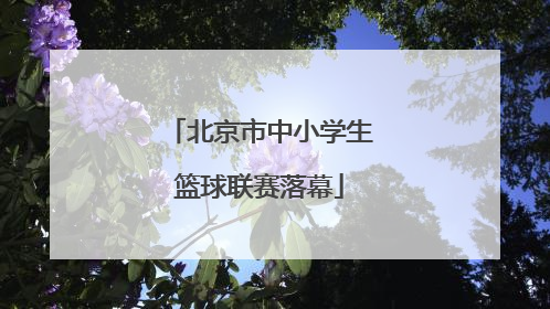北京市中小学生篮球联赛落幕