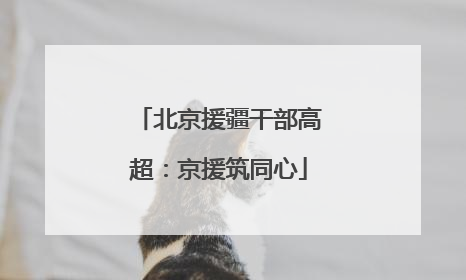 北京援疆干部高超：京援筑同心