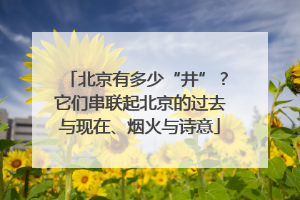 北京有多少“井”？它们串联起北京的过去与现在、烟火与诗意