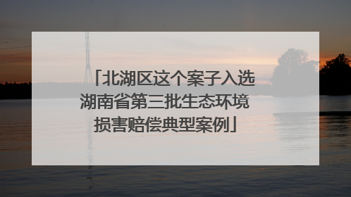 北湖区这个案子入选湖南省第三批生态环境损害赔偿典型案例