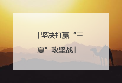 坚决打赢“三夏”攻坚战