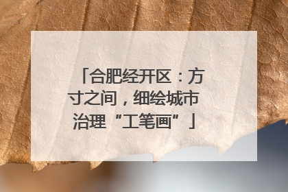 合肥经开区：方寸之间，细绘城市治理“工笔画”