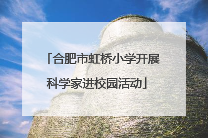 合肥市虹桥小学开展科学家进校园活动
