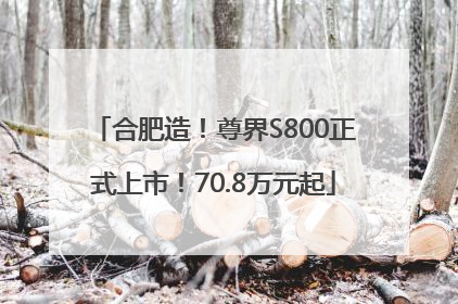 合肥造！尊界S800正式上市！70.8万元起