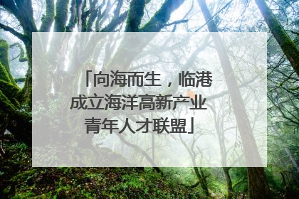 向海而生，临港成立海洋高新产业青年人才联盟