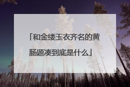 和金缕玉衣齐名的黄肠题凑到底是什么