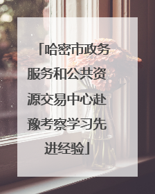 哈密市政务服务和公共资源交易中心赴豫考察学习先进经验