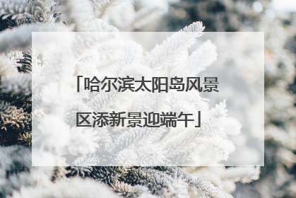 哈尔滨太阳岛风景区添新景迎端午