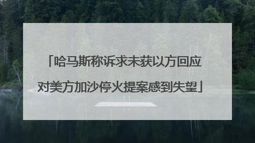 哈马斯称诉求未获以方回应 对美方加沙停火提案感到失望