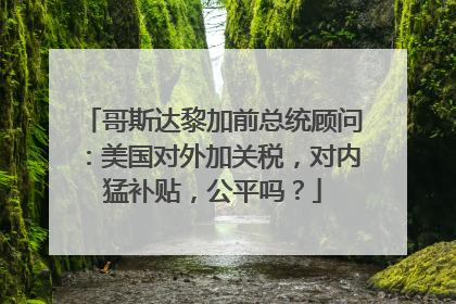 哥斯达黎加前总统顾问：美国对外加关税，对内猛补贴，公平吗？