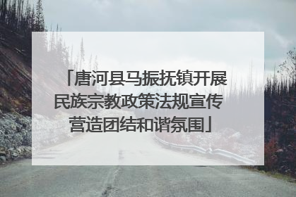唐河县马振抚镇开展民族宗教政策法规宣传 营造团结和谐氛围